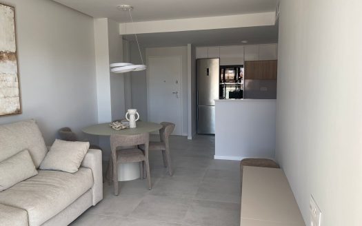 Obra Nueva Mil Palmeras Orihuela Costa